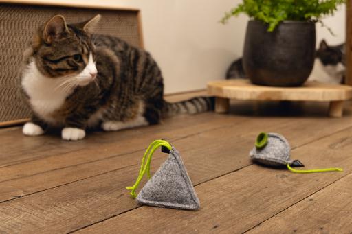 Image du produit Beeztees Minus One Jouet pour chats souris (Jouets avec herbe à chat)