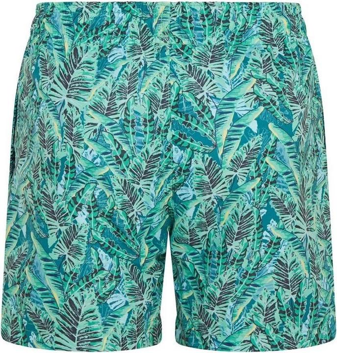 Immagine prodotto Ript Essentials Costume da Bagno a Pantaloncino Stampa Foglia Ragazzi (146, 152)
