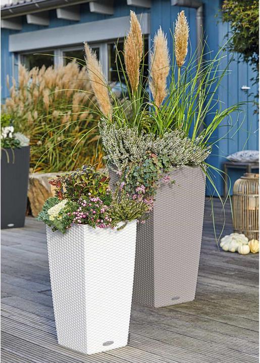 Produktbild Lechuza Cubico Cottage (29.50 cm)