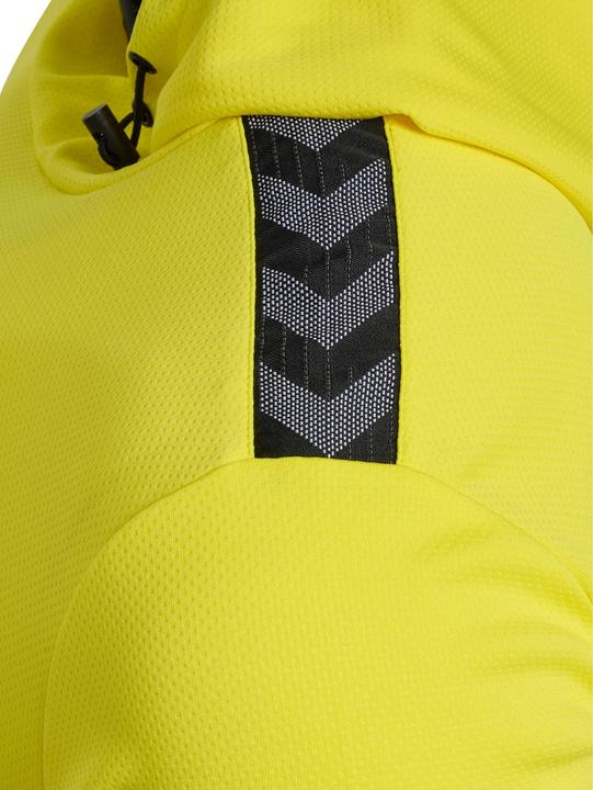 Actual product image hummel Hmlauthentic Pl Hoodie (L)