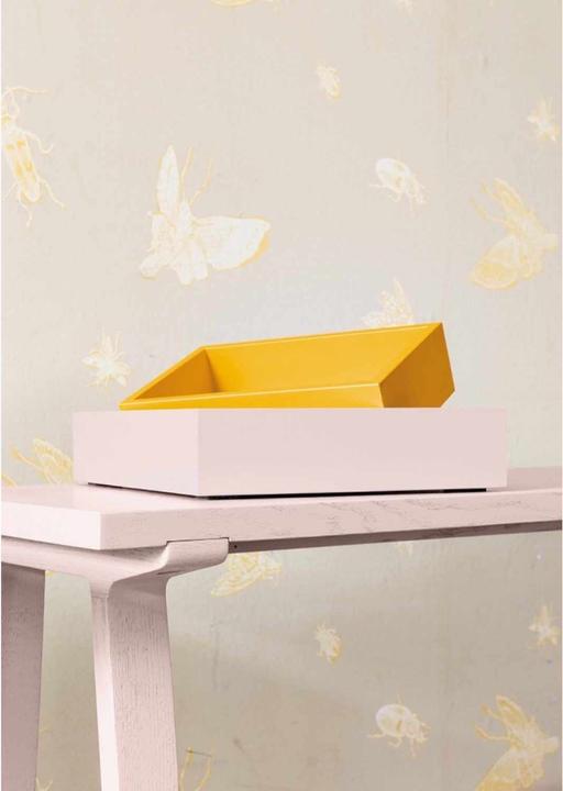 Actual product image Schönbuch Tally box