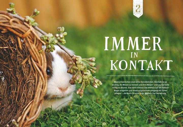 Produktbild Neugierige Meerschweinchen - So fühlen sie sich wohl (Deutsch, Immanuel Birmelin, 2015)
