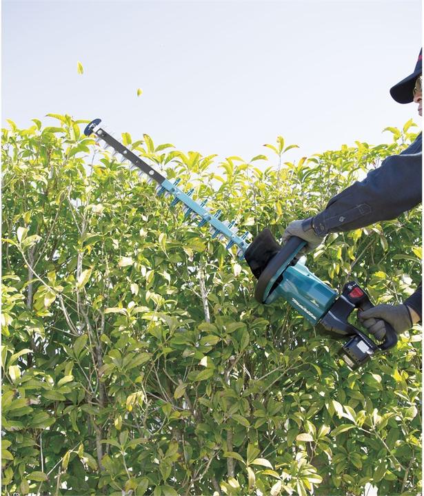 Image du produit Makita DUH601Z (Taille-haies sans fil)