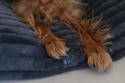 Image du produit Designed by Lotte Coussin de repos Reza (Chien)
