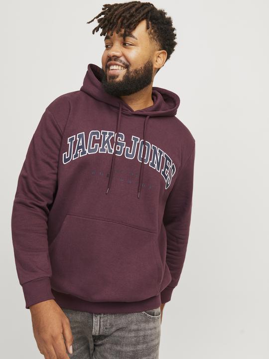 Produktbild Jack & Jones Jjecaleb Varsity Sweat Hood Noos Pls (3XL)