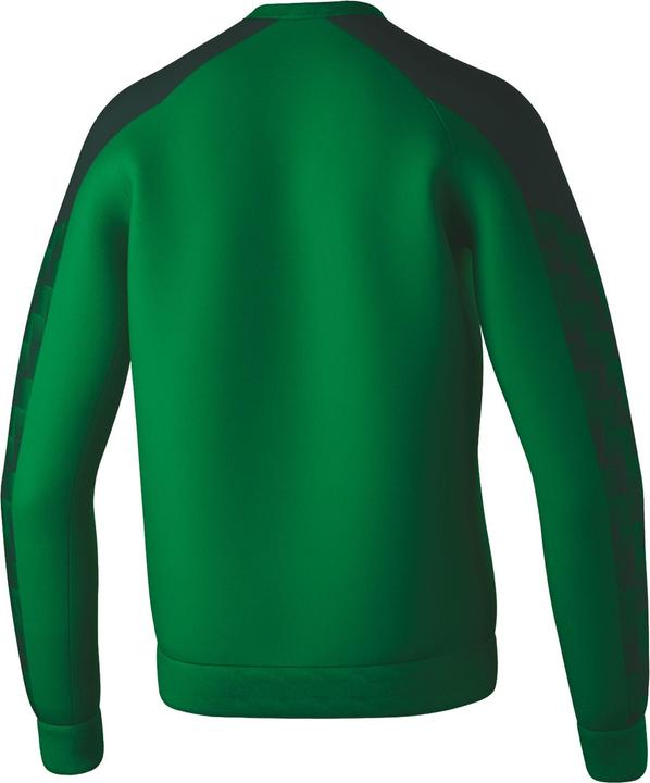 Actual product image Erima Evo Star sweatshirt (L)