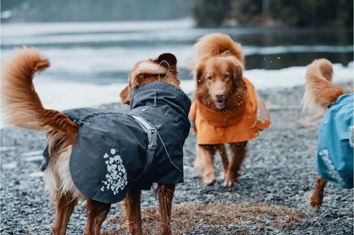 Image du produit Hurtta Imperméable de mousson gris foncé (90, L, XL, Imperméable pour chien)
