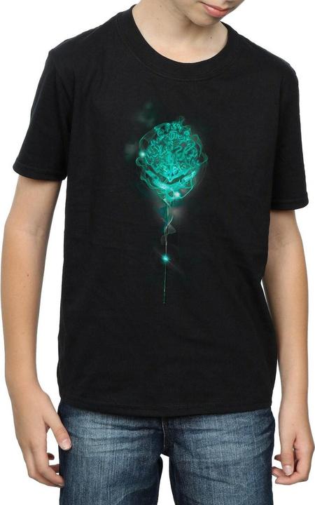 Actual product image Boys Hogwarts Crest Mist T-Shirt (140, 146)