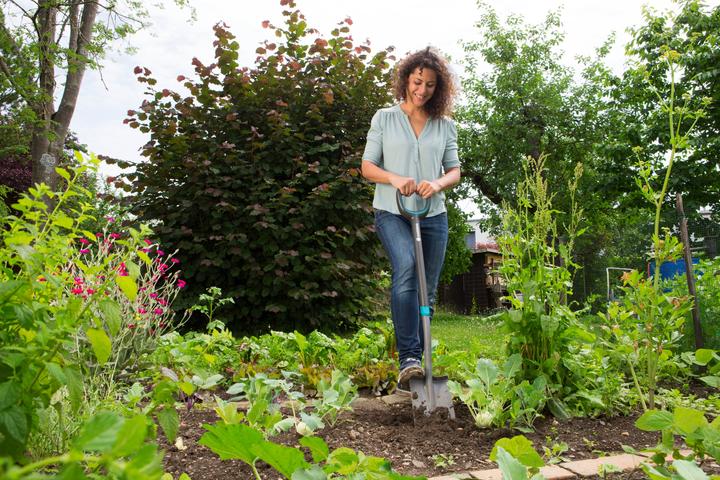 Actual product image Gardena Ergo Line ladies' spade
