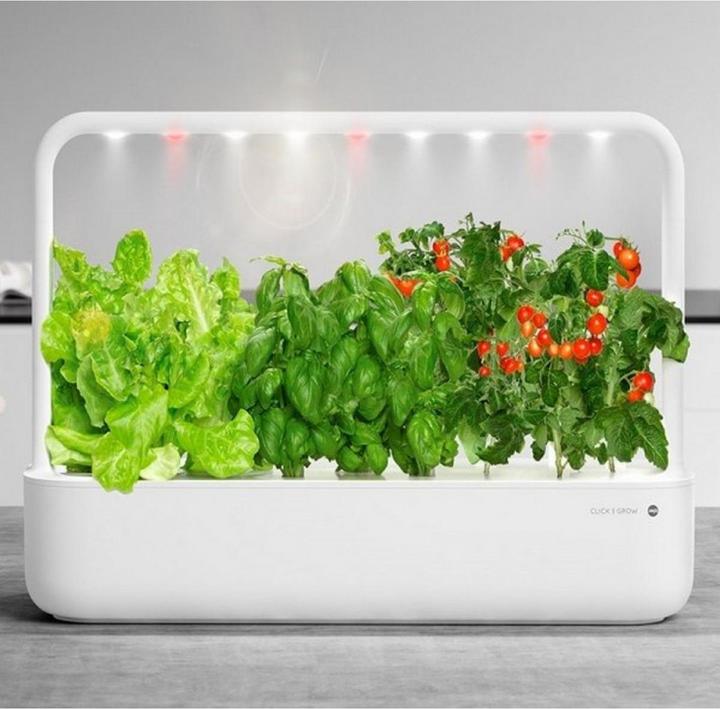 Produktbild Emsa Smart Garden 9 Click&Grow (18.50 cm)