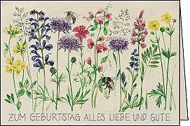 Produktbild Edition Gollong Doppelkarte. Zum Geburtstag (Sommerblumen)