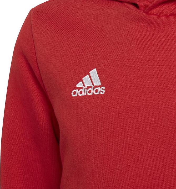Image du produit adidas Sweat à capuche Entrada 22 enfants (152)