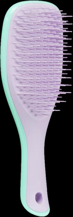 Immagine prodotto Tangle Teezer The Ultimate Detangler Mini Wisteria Leaf