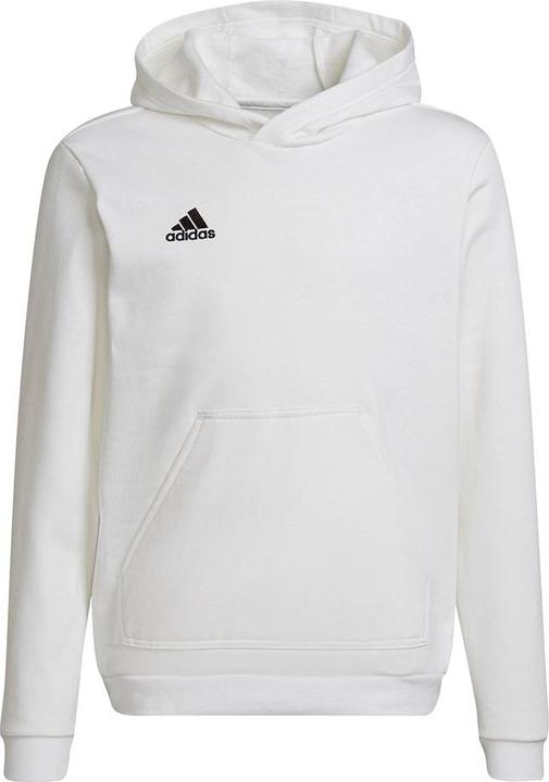 Actual product image adidas Entrada 22 hoodie kids (152)