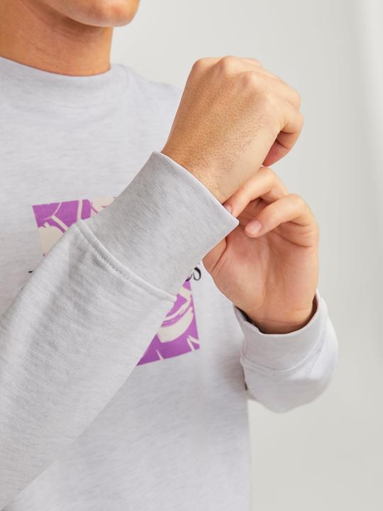 Produktbild Jack & Jones Gedruckt Sweatshirt mit Rundhals Sweatshirt mit Rundhals (S)