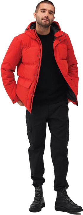 Image du produit Regatta Veste matelassée Falkner pour hommes (L)