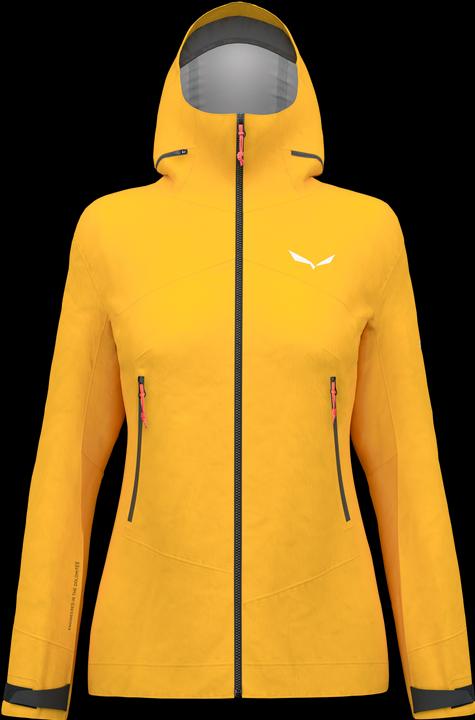 Immagine prodotto Salewa GIACCA ORTLES GTX 3L Donna (38, M)