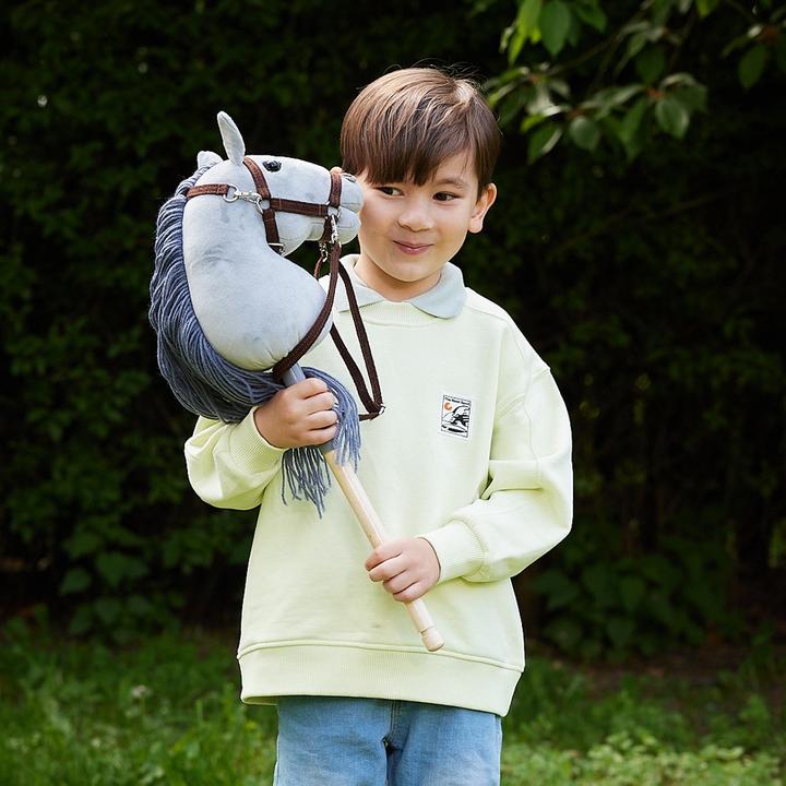 Image du produit No Name Cheval à la canne HOPPIHORSE Cheval à enfourcher A4 gris