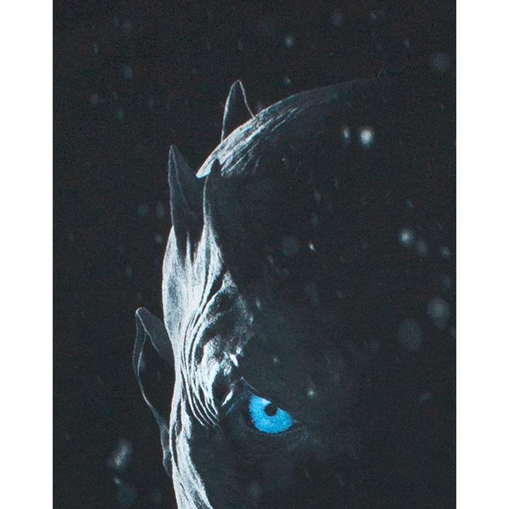 Produktbild Game of Thrones Tshirt (M)