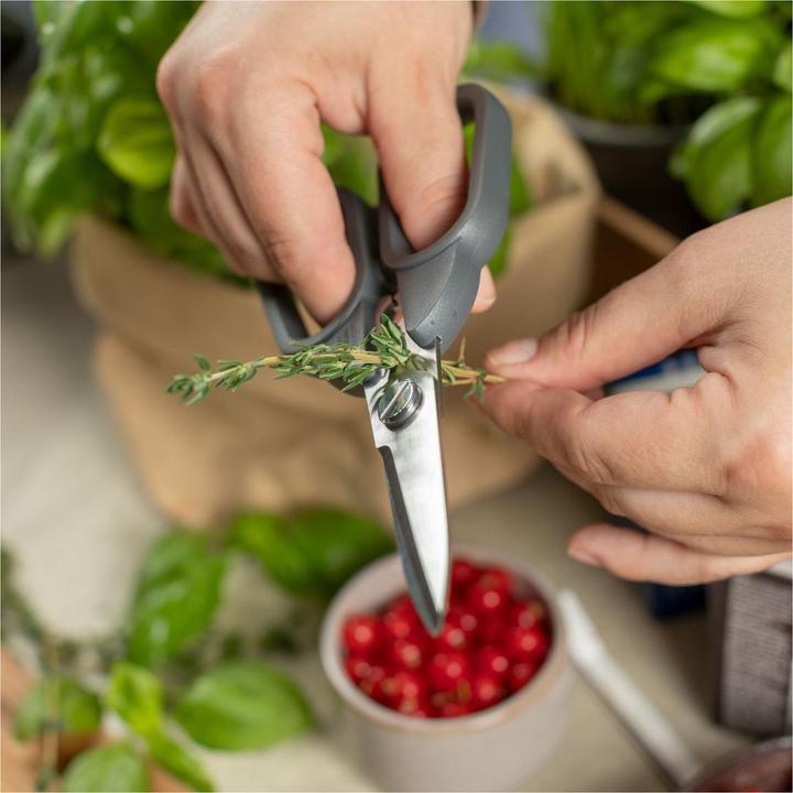 Actual product image Kuhn Rikon Kitchen Shears compact (17.80 cm)