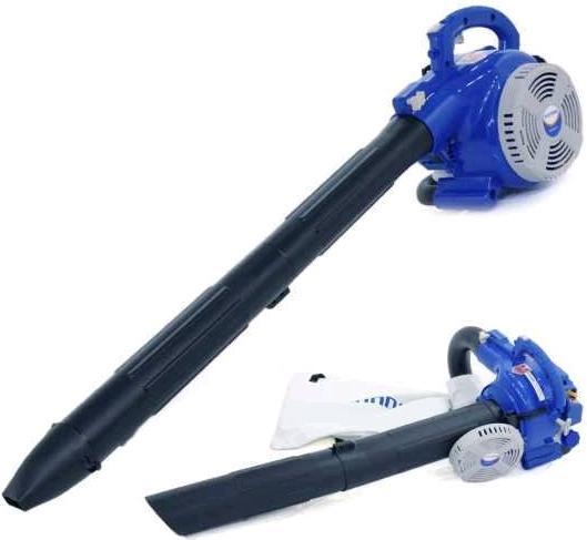 Image du produit Hyundai Aspirateur à feuilles motorisé Plus (Essence, Aspirateurs à feuilles)