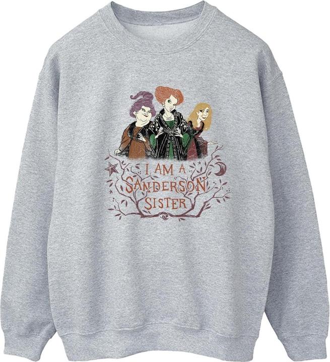 Produktbild Disney Hocus Pocus Sanderson Sister Sweatshirt (L)
