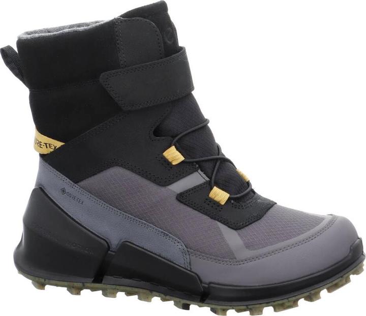 Image du produit Ecco Biom K2 GTX (31)