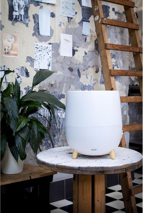 Actual product image Duux Ovi (30 m²)