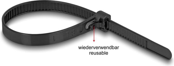 Immagine prodotto Delock Fascetta (Fascette in plastica, 300 mm, 100 pz.)