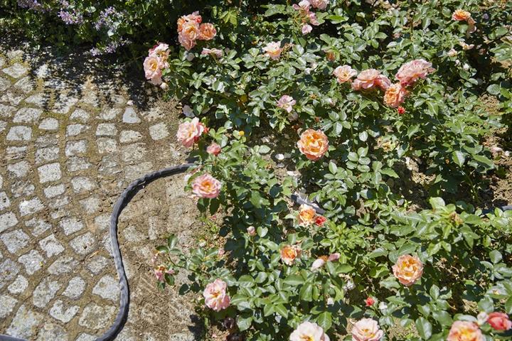 Produktbild Gardena Liano (30 m, 12.70 mm)