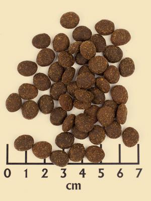 Immagine prodotto Wildcat Rani adulto (Adulto, 1 pz., 3000 g)