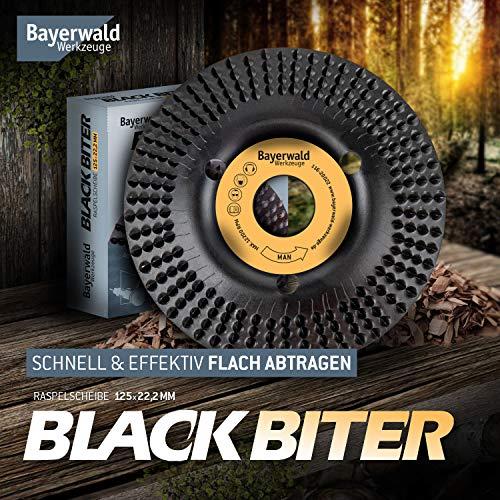 Actual product image Bayerwald Werkzeuge Rasp disc