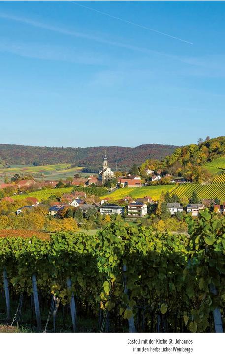 Actual product image Weinfranken (German, Nicole Dietrich, 2020)