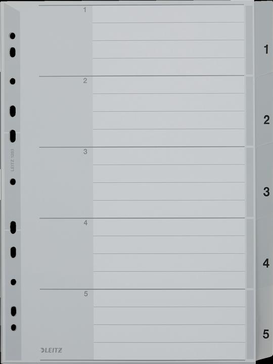 Actual product image Leitz Register PP