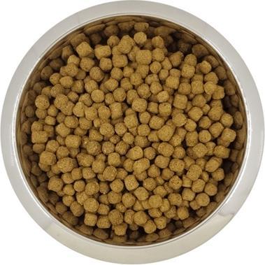 Produktbild Yourdog Dwerg- Of Toypoedel Volwassen (Welpe + Kitten, 12150 g)