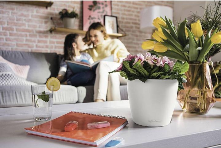 Image du produit Lechuza CLASSICO Couleur 18 (19 cm)
