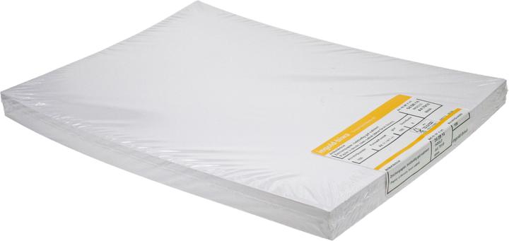 Immagine prodotto Ingold-Biwa Carta da disegno bianca (160 g/m², 100 x)
