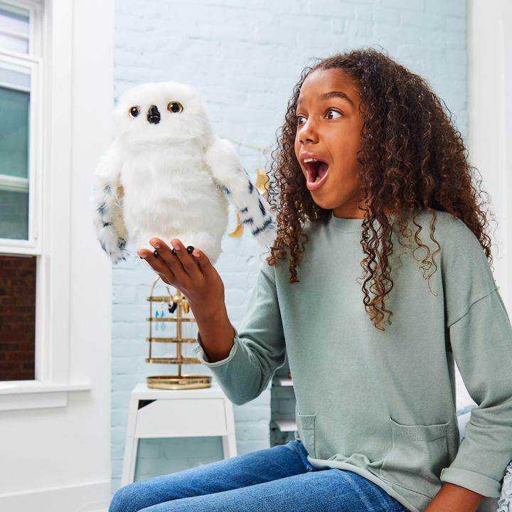 Image du produit Spin Master Hedwig l'enchanteur (30.48 cm)