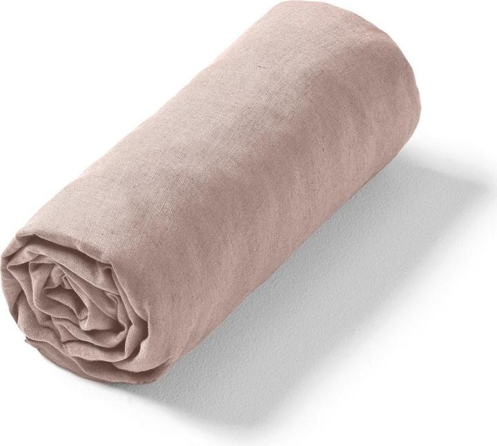 Rosa veneto