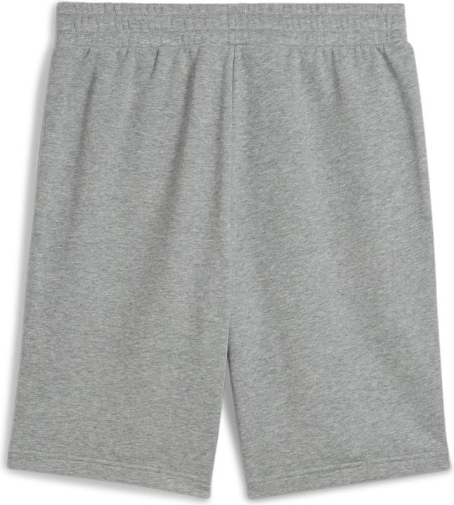 Actual product image Puma ESS No. 1 Logo Shorts 10" (M)