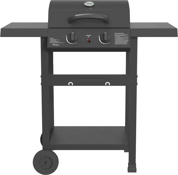 FlammenKönig Gasgrill mit 2 Brenner, Gasregler + Schlauch inkl. (5 kW)