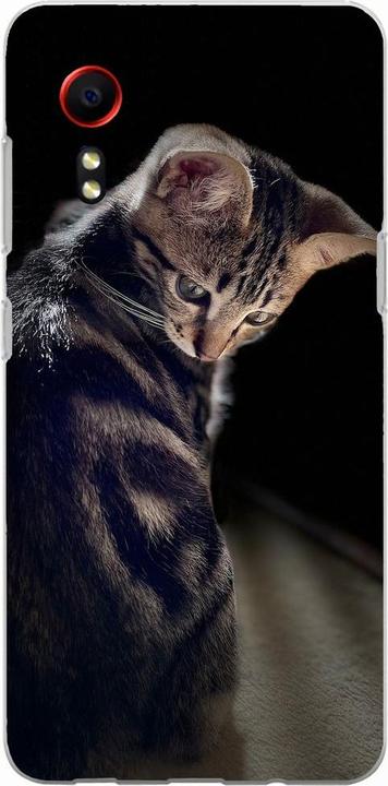 Young cat