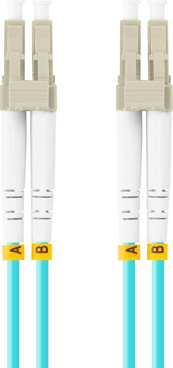Actual product image Lanberg FO-LULU-MD31-0010-TQ (1 m)
