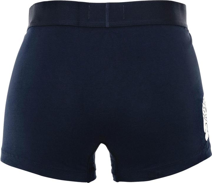 Actual product image Lacoste Pack De 3 Boxers Courts (XL, pack of 3)
