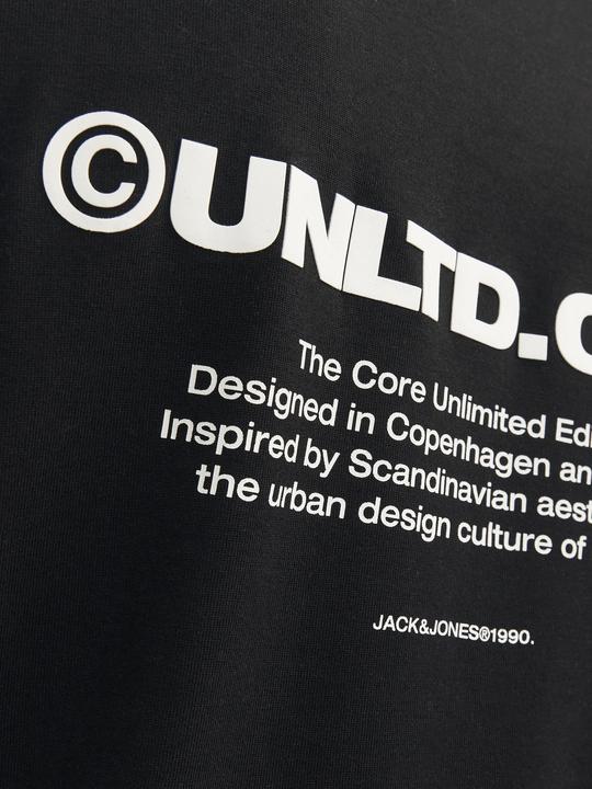 Actual product image Jack & Jones Jcoaero Print Tee Ss Crew Neck Noos (XL)