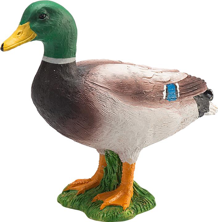 Immagine prodotto Animal Planet Drake di germano reale