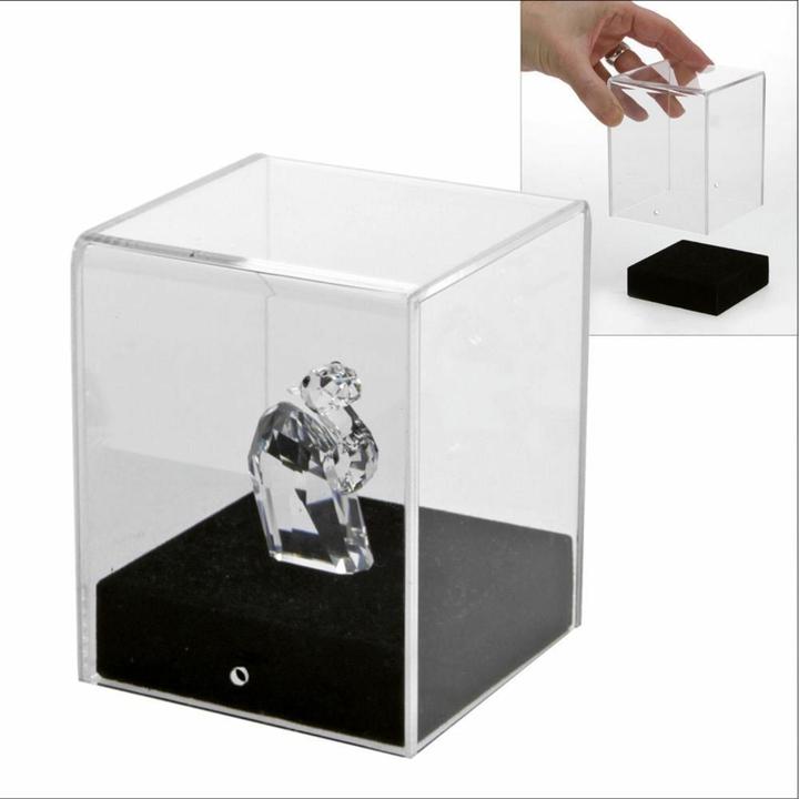 Image du produit Safe Vitrine acrylique cube 8 x 8 x 10 cm (8 x 8 x 10 cm)