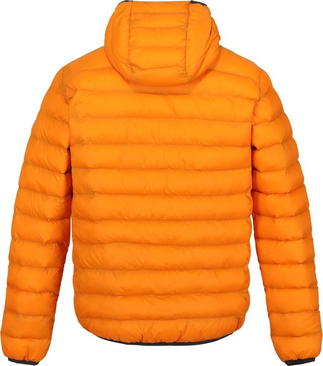 Image du produit Regatta Mens Marizion Baffled Hooded Padded Jacket (veste matelassée à capuche) (S)