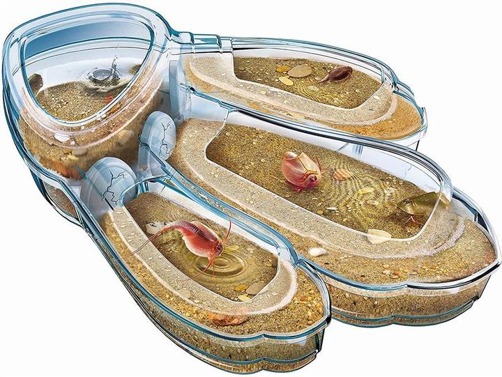 Actual product image Clementoni Triops Maxi de Luxe
