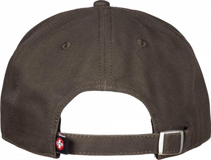 Produktbild Bones Bearings Dad Cap